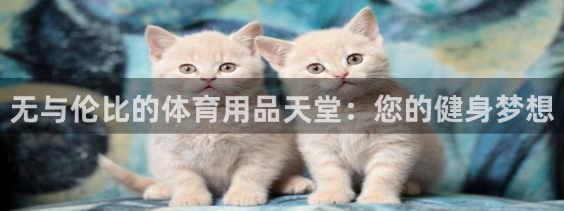 欧陆娱乐登录测速网站：无与伦比的体育用品天堂：您的健