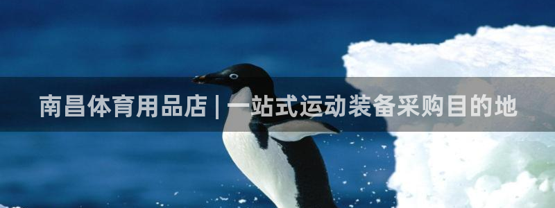 欧陆娱乐平台登陆地址在哪改：南昌体育用品店 | 一站