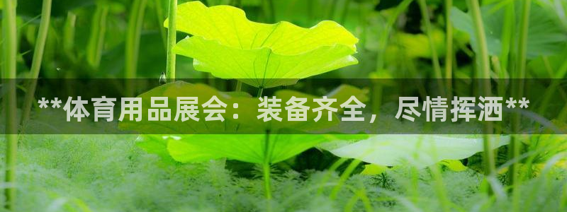 欧陆官网下载：**体育用品展会：装备齐全，尽情挥洒*
