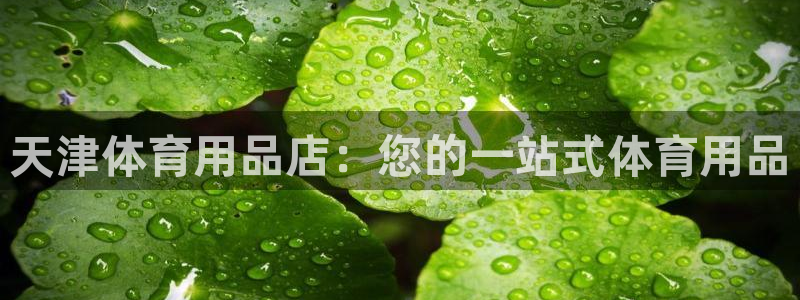 欧陆娱乐app攻略大全：天津体育用品店：您的一站式体