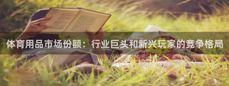 欧陆娱乐平台登录不上去怎么回事：体育用品市场份额：行