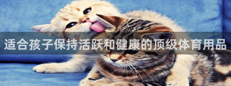 欧陆娱乐是正规平台吗安全吗：适合孩子保持活跃和健康的