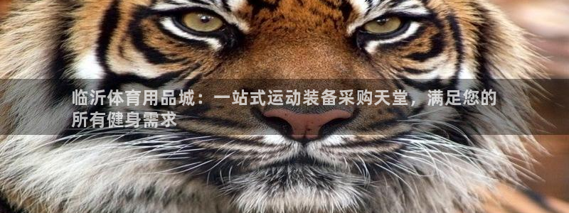 欧陆娱乐官方：临沂体育用品城：一站式运动装备采购天堂
