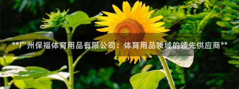 欧陆注册码：**广州保福体育用品有限公司：体育用品领