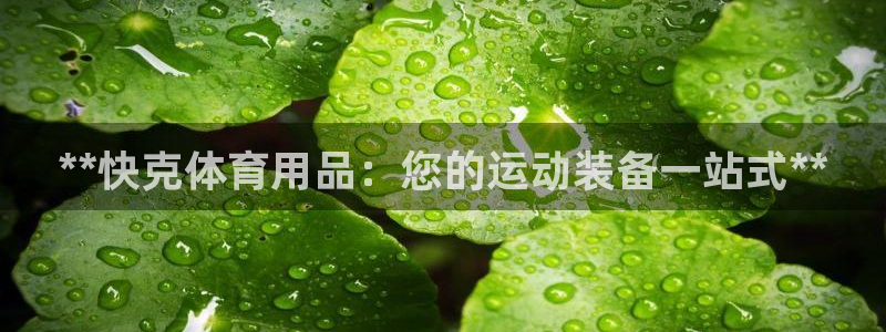 欧陆娱乐中国：**快克体育用品：您的运动装备一站式*