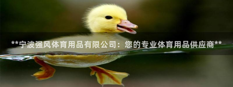 欧陆娱乐官网首页网址：**宁波强风体育用品有限公司：