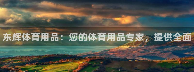 欧陆娱乐注册代理：东辉体育用品：您的体育用品专家，提