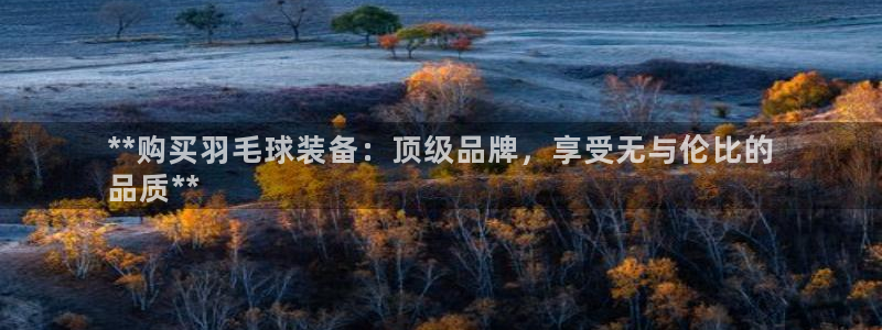 欧陆娱乐官方网站入口：**购买羽毛球装备：顶级品牌，