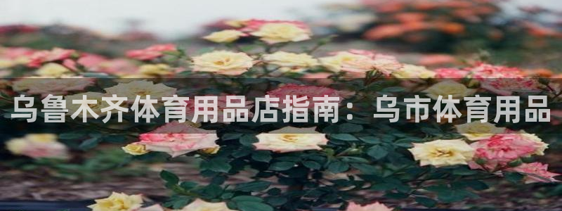 欧陆娱乐息7o777ts=0：乌鲁木齐体育用品店指南