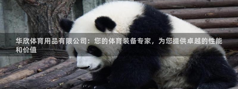 欧陆娱乐太阳：华欣体育用品有限公司：您的体育装备专家