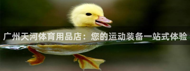 欧陆娱乐代理 贴吧：广州天河体育用品店：您的运动装备