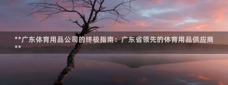 欧陆娱乐太阳：**广东体育用品公司的终极指南：广东省