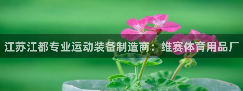 欧陆娱乐客服服务怎么样：江苏江都专业运动装备制造商：