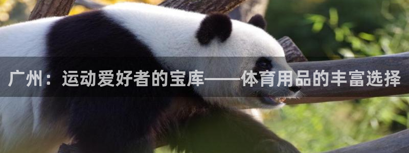 欧陆娱乐游戏特色：广州：运动爱好者的宝库——体育用品