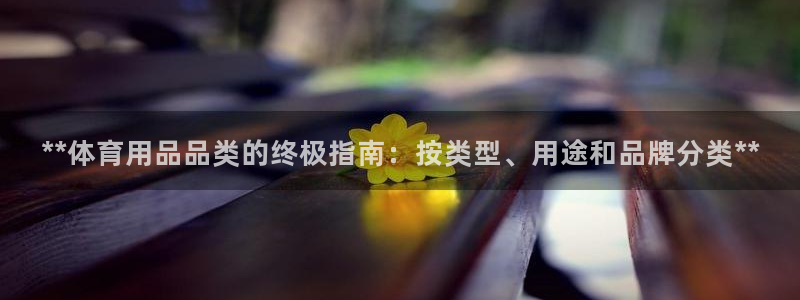 欧陆娱乐有限公司招聘：**体育用品品类的终极指南：按