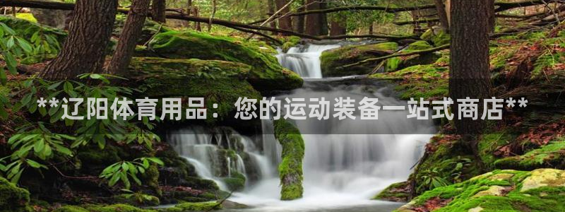 欧陆注册码：**辽阳体育用品：您的运动装备一站式商店