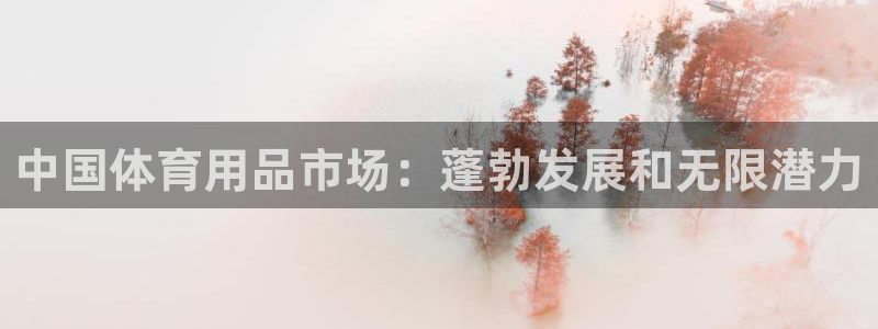 欧陆娱乐脚本：中国体育用品市场：蓬勃发展和无限潜力