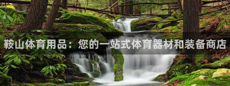 欧陆娱乐app打不开怎么回事儿：鞍山体育用品：您的一