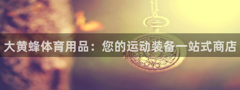 欧陆娱乐安全吗：大黄蜂体育用品：您的运动装备一站式商