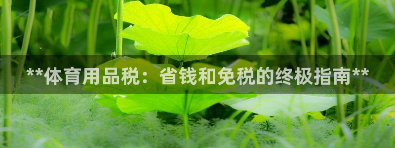 欧陆娱乐能提现嘛?：**体育用品税：省钱和免税的终极