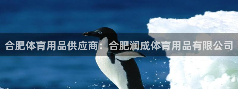 欧陆娱乐怎么注册会员的：合肥体育用品供应商：合肥润成