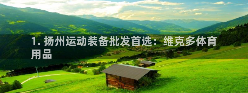 欧陆娱乐官网下载安装最新版：1. 扬州运动装备批发首