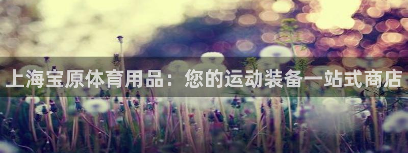 欧陆娱乐系统教程：上海宝原体育用品：您的运动装备一站