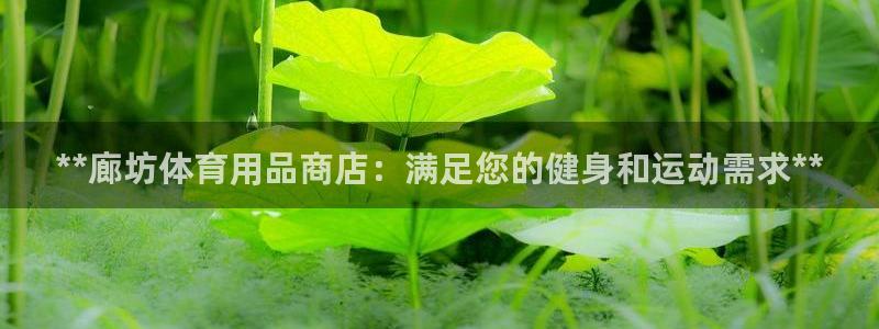欧陆娱乐总代：**廊坊体育用品商店：满足您的健身和运