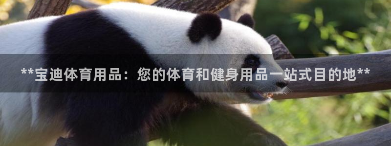 欧陆娱乐登录官网网址：**宝迪体育用品：您的体育和健