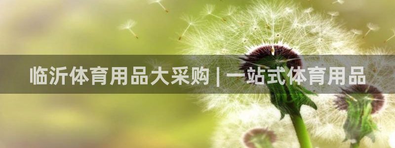 欧陆娱乐有限公司怎么样：临沂体育用品大采购 | 一站
