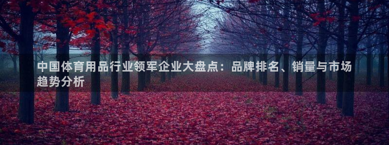 欧陆娱乐息7o777ts=0：中国体育用品行业领军企