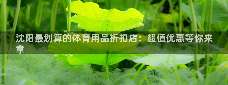 欧陆娱乐系统教程：沈阳最划算的体育用品折扣店：超值优