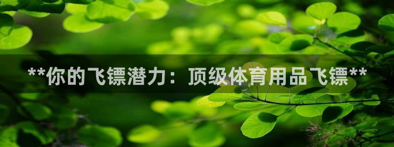 欧陆娱乐访问：**你的飞镖潜力：顶级体育用品飞镖**