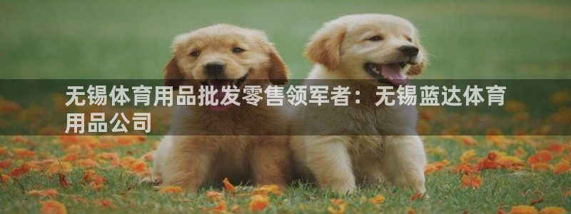 欧陆娱乐平台登陆地址：无锡体育用品批发零售领军者：无