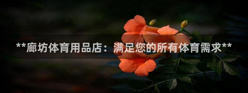 欧陆娱乐线路测速：**廊坊体育用品店：满足您的所有体