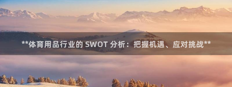 欧陆娱乐计划预测软件有哪些：**体育用品行业的 SW