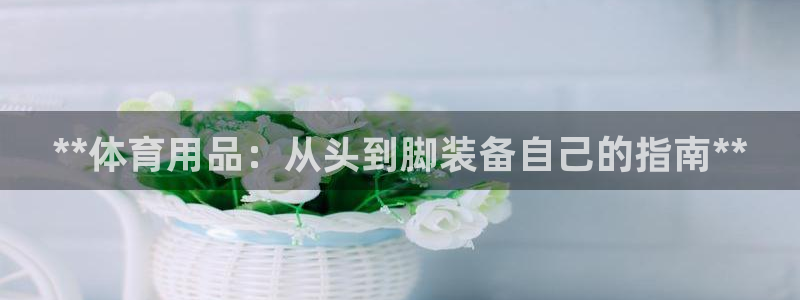 欧陆娱乐登陆平台有哪些：**体育用品：从头到脚装备自