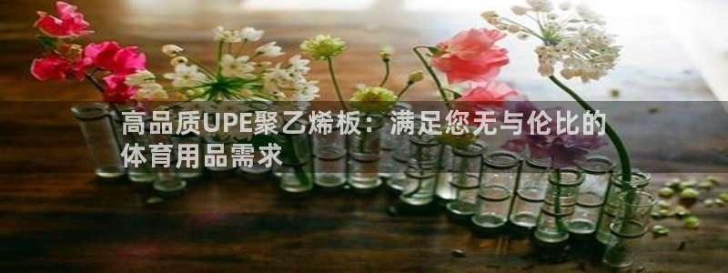 欧陆娱乐客服服务电话：高品质UPE聚乙烯板：满足您无