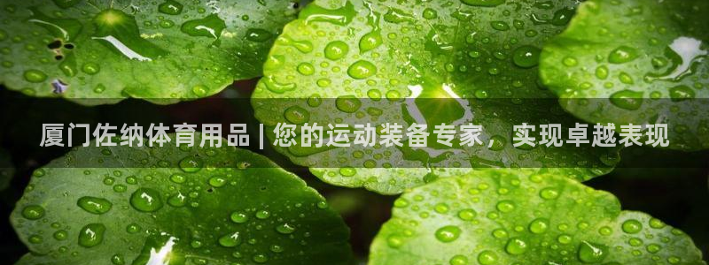 欧陆娱乐代理 贴吧是真的吗：厦门佐纳体育用品 | 您