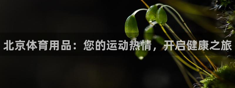 欧陆娱乐注册代理多少钱一个月：北京体育用品：您的运动