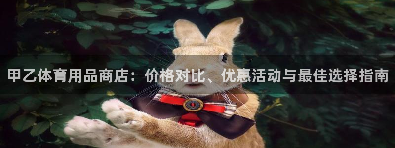 欧陆娱乐怎么注册会员号：甲乙体育用品商店：价格对比、