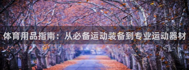 欧陆娱乐计划预测软件哪个好：体育用品指南：从必备运动