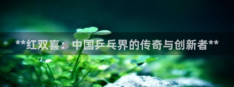 欧陆娱乐百科百度：**红双喜：中国乒乓界的传奇与创新