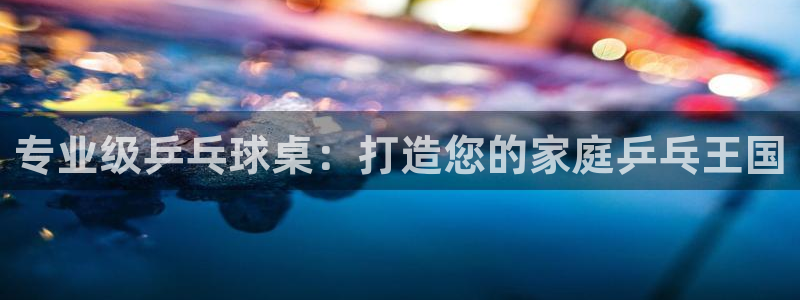 欧陆娱乐访问：专业级乒乓球桌：打造您的家庭乒乓王国