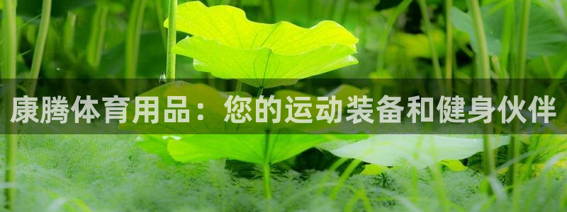欧陆娱乐测速软件下载：康腾体育用品：您的运动装备和健