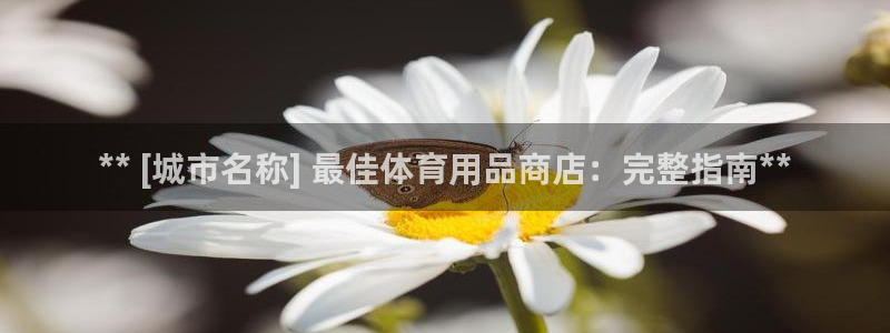 欧陆娱乐客服电话人工服务热线：** [城市名称] 最