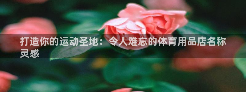 欧陆娱乐app下载：打造你的运动圣地：令人难忘的体育