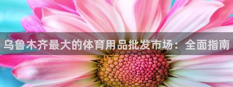 欧陆娱乐官网首页：乌鲁木齐最大的体育用品批发市场：全