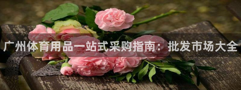 欧陆软件官网：广州体育用品一站式采购指南：批发市场大