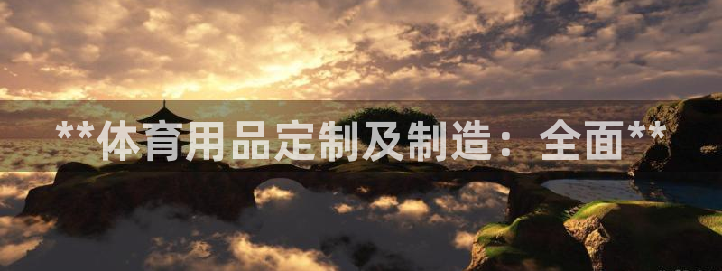 欧陆娱乐访问：**体育用品定制及制造：全面**